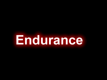 我的世界Endurance | Stamina – 精力槽插件