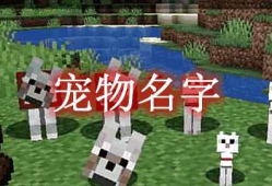 我的世界宠物名字 Pet Names MOD