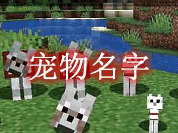 我的世界宠物名字 Pet Names MOD