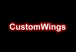 我的世界CustomWings – 制定翅膀插件