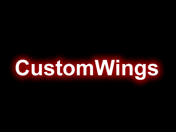 我的世界CustomWings – 制定翅膀插件