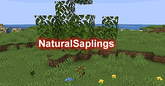 NaturalSaplings.png